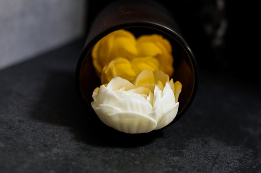 Voile de Gardenia Wax Melts